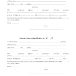 Autorizzazione Gita Scolastica PDF da scaricare
