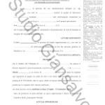 Opposizione decreto ingiuntivo fac simile PDF