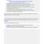 Modulo permesso internazionale di guida PDF da scaricare